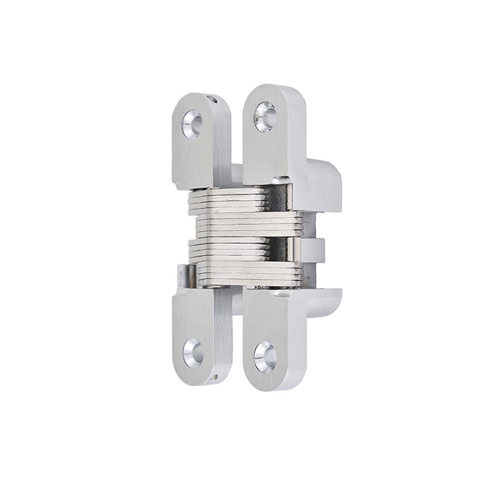 Bisagra Inv.Za-Ch05 2/5Kg.Cr.Satin